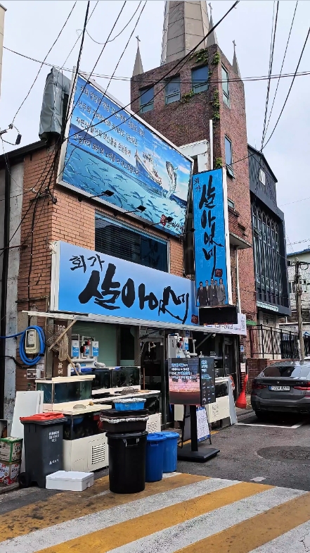 살아있네 사진 2
