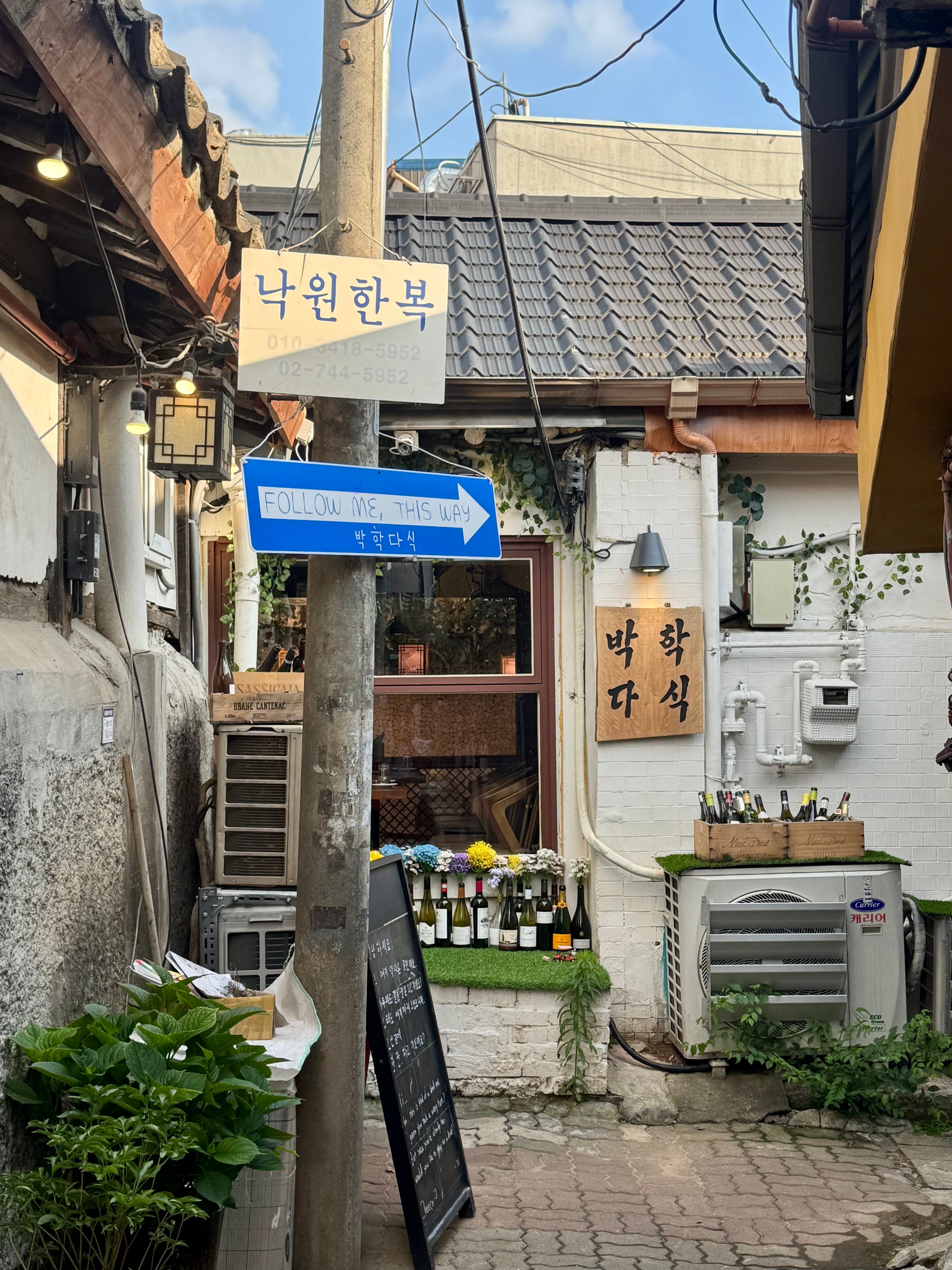 박학다식 종로 사진 1