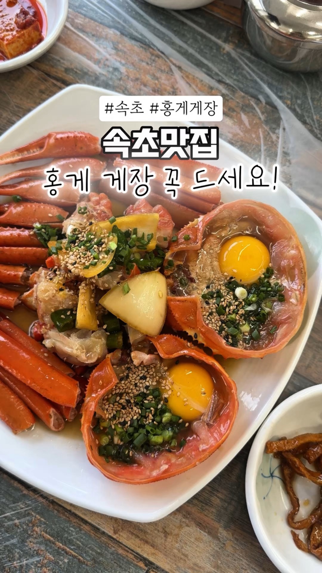 동해안붉은대게 사진 2