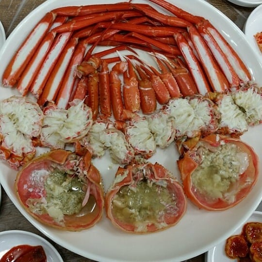 동해안붉은대게 사진 3