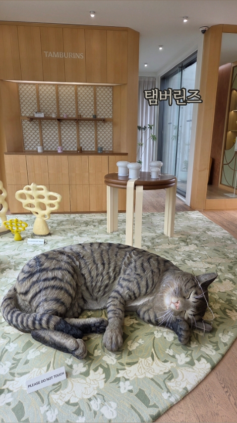 탬버린즈 삼청 플래그십스토어 사진 3