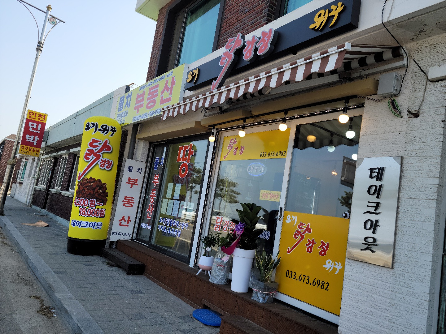 요기위꾸 사진