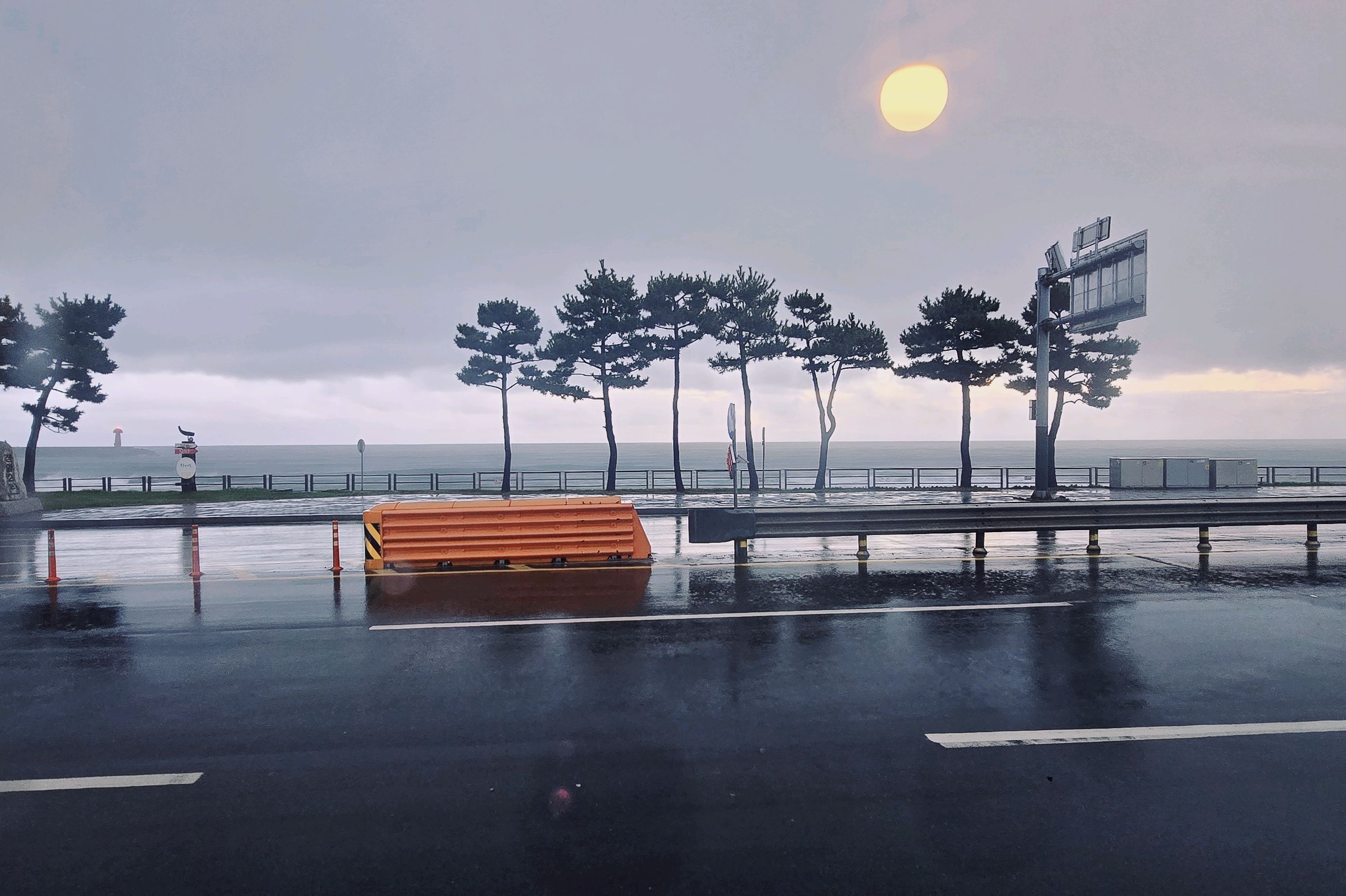 요기위꾸 사진 5
