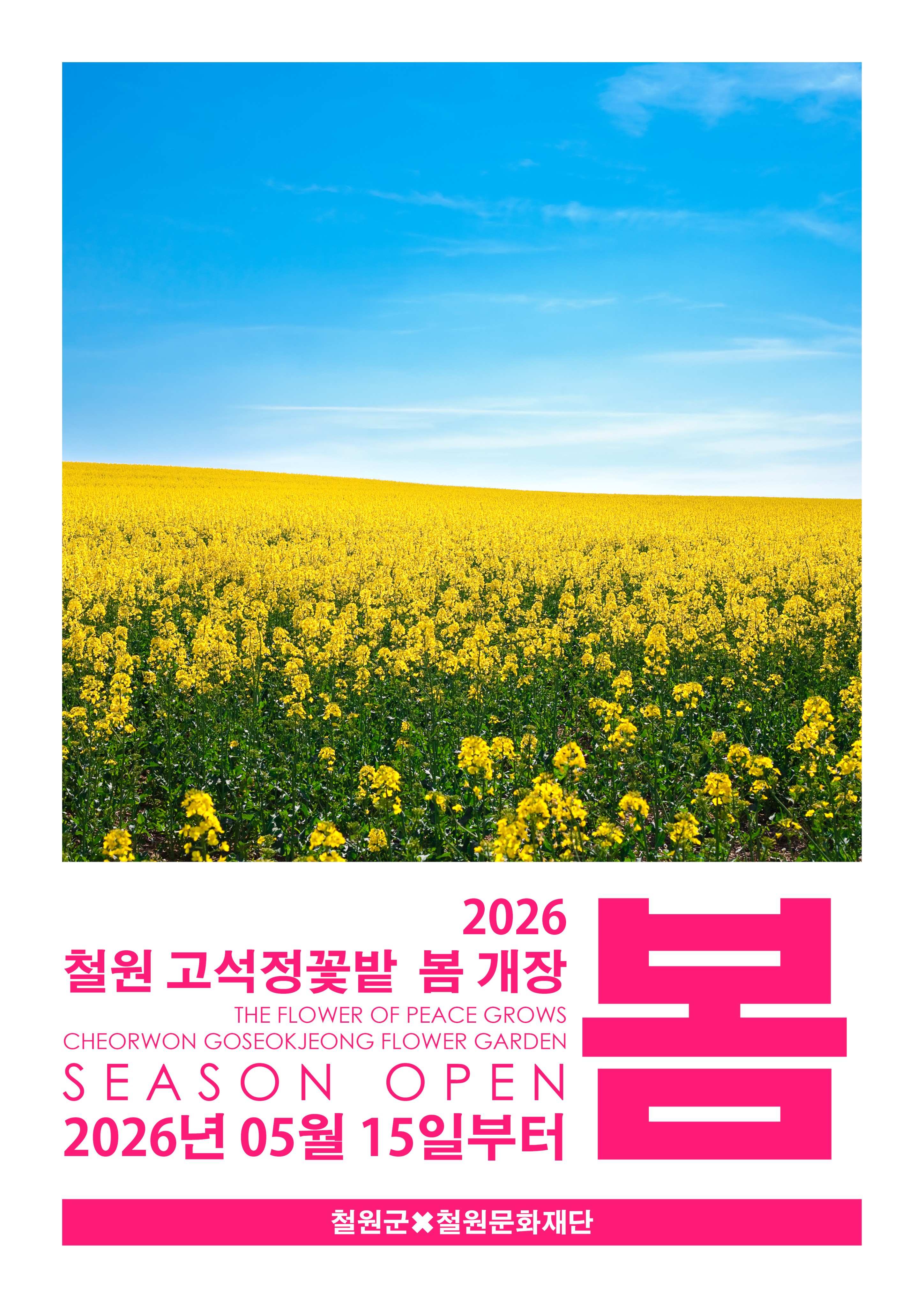 고석정꽃밭 사진 1
