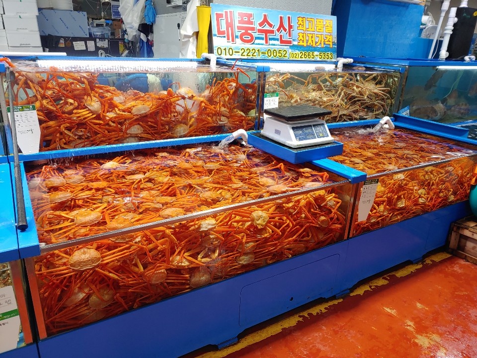 대풍수산 사진