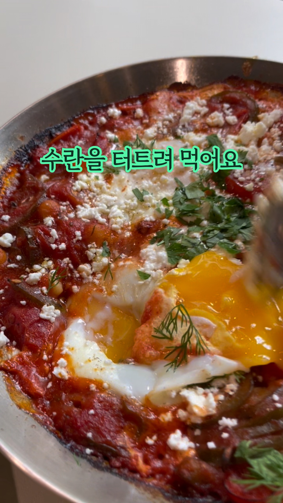 쿠촐로 서울 사진 2