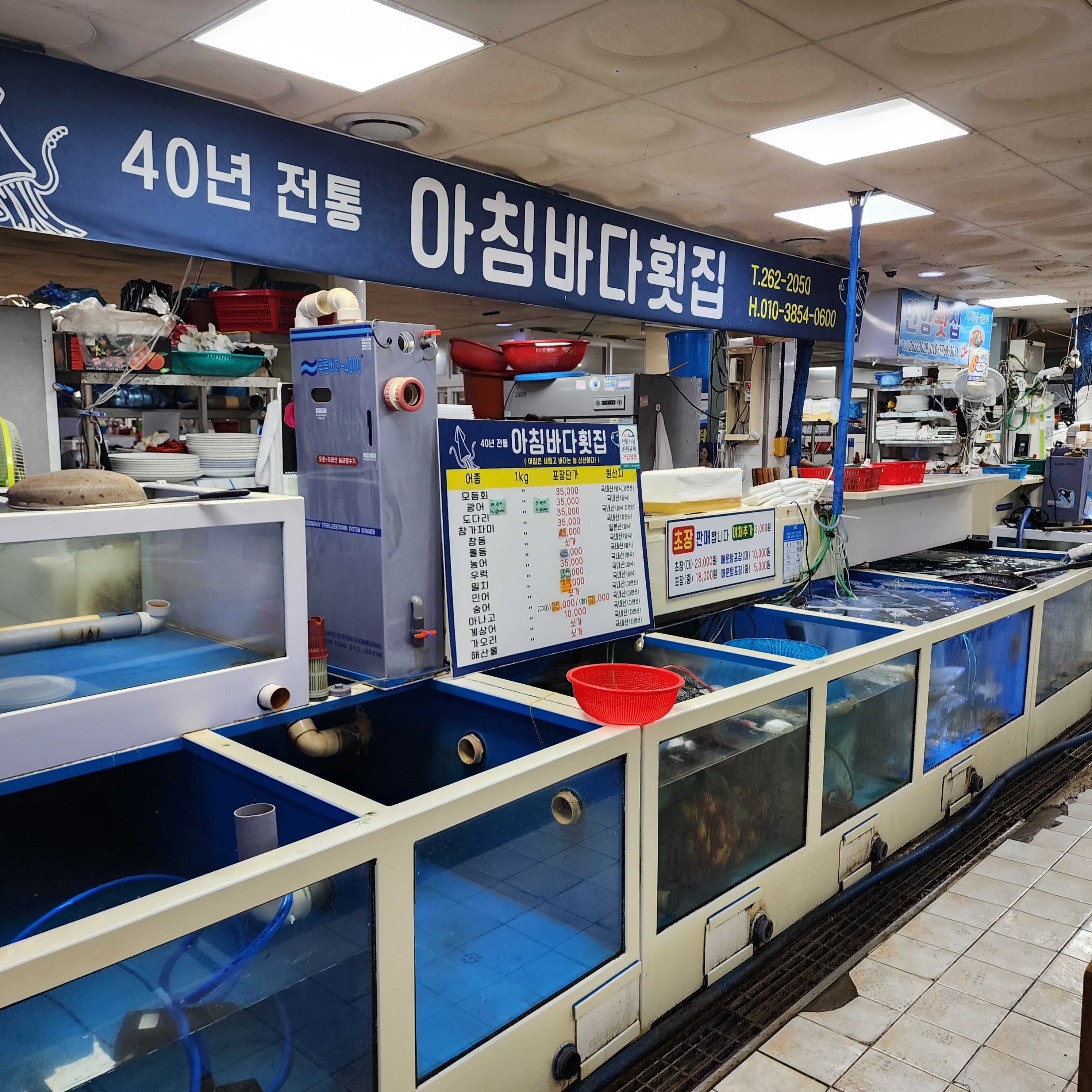 언양알프스시장 사진 5