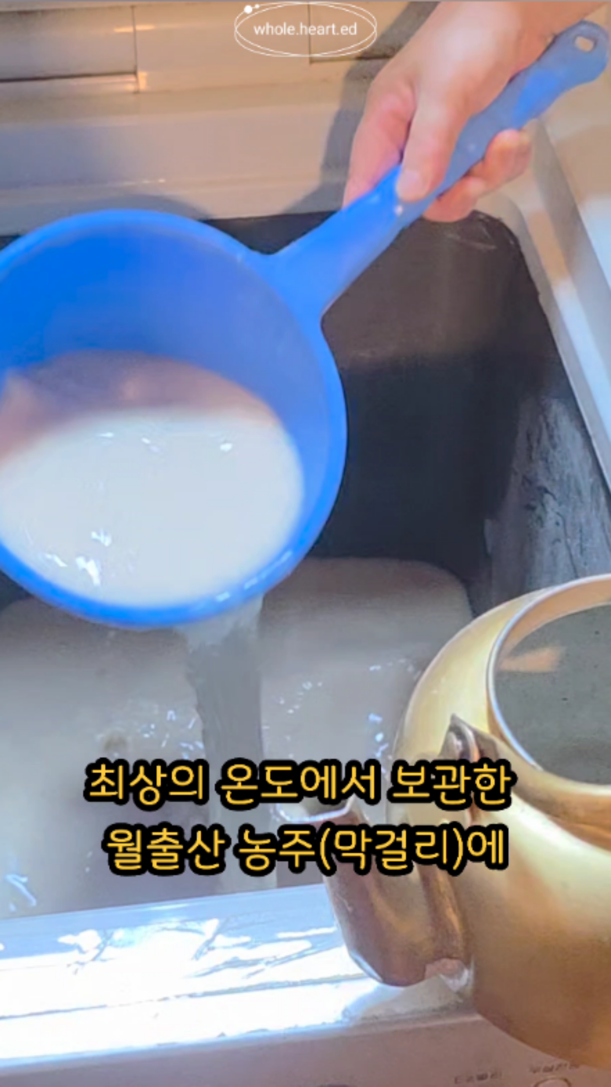 홍탁집 사진 2