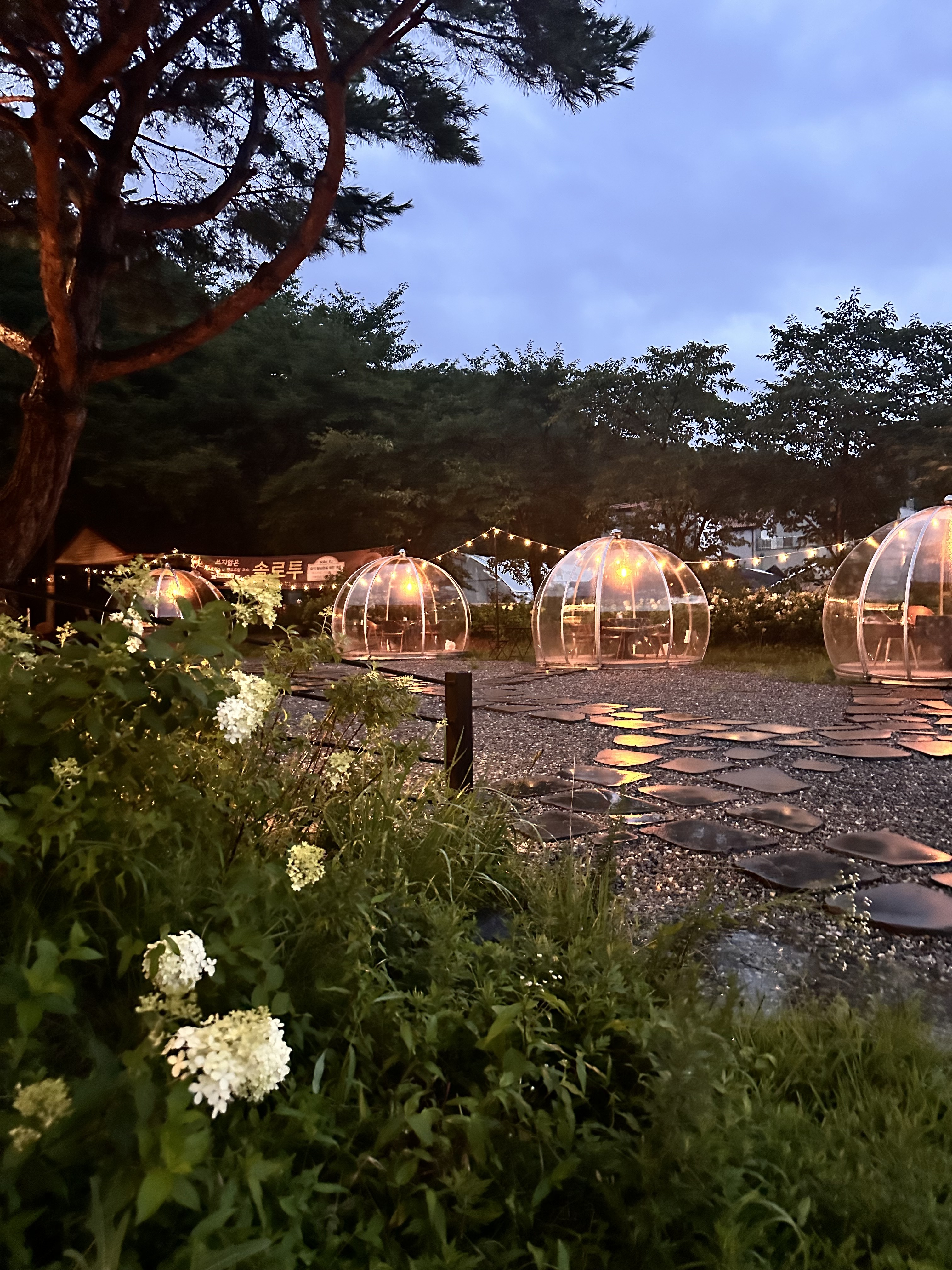 솔로투 용인점 사진 1
