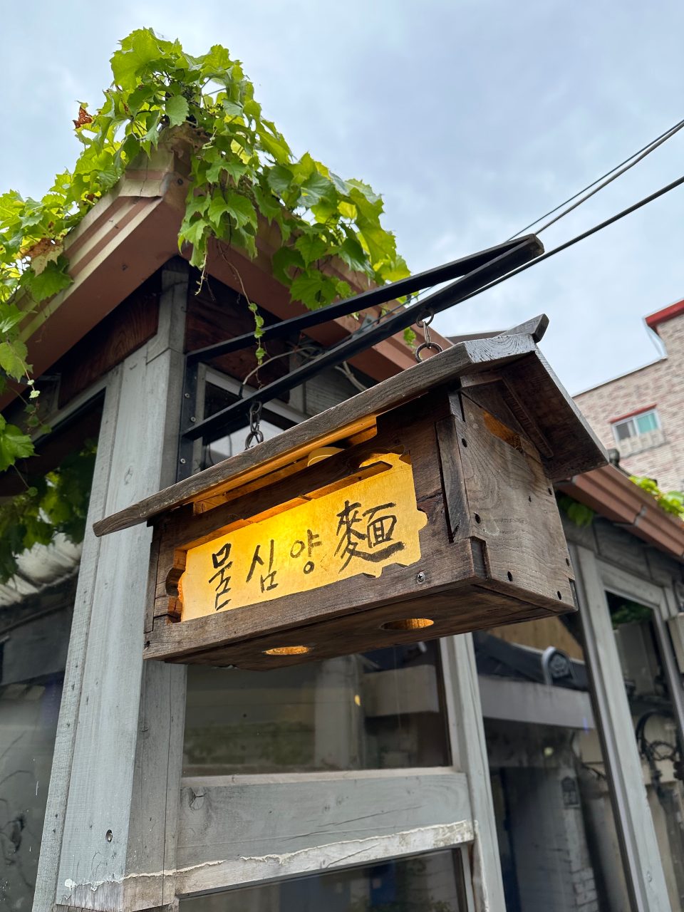 물심양면 사진
