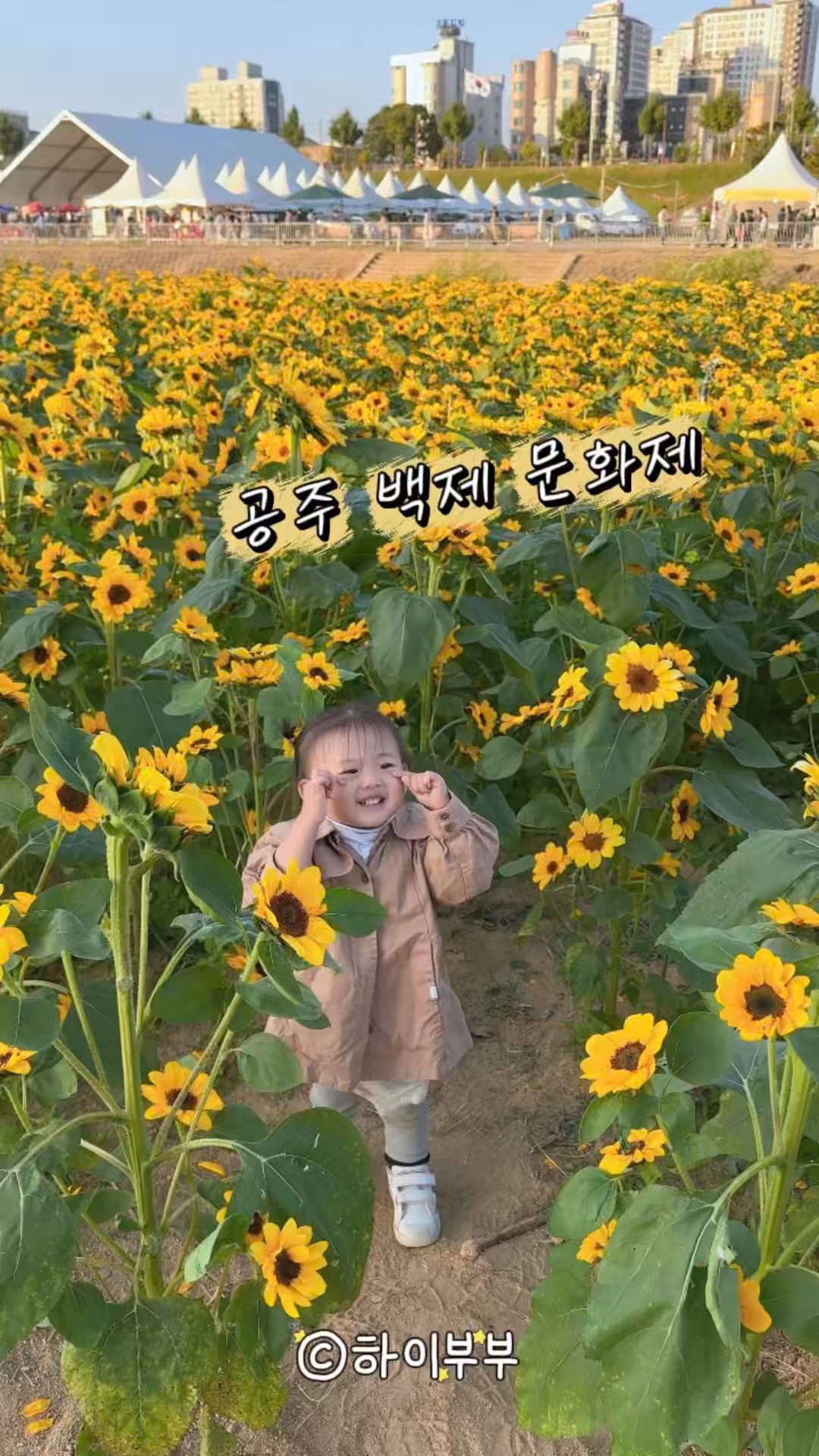 미르섬 사진 3