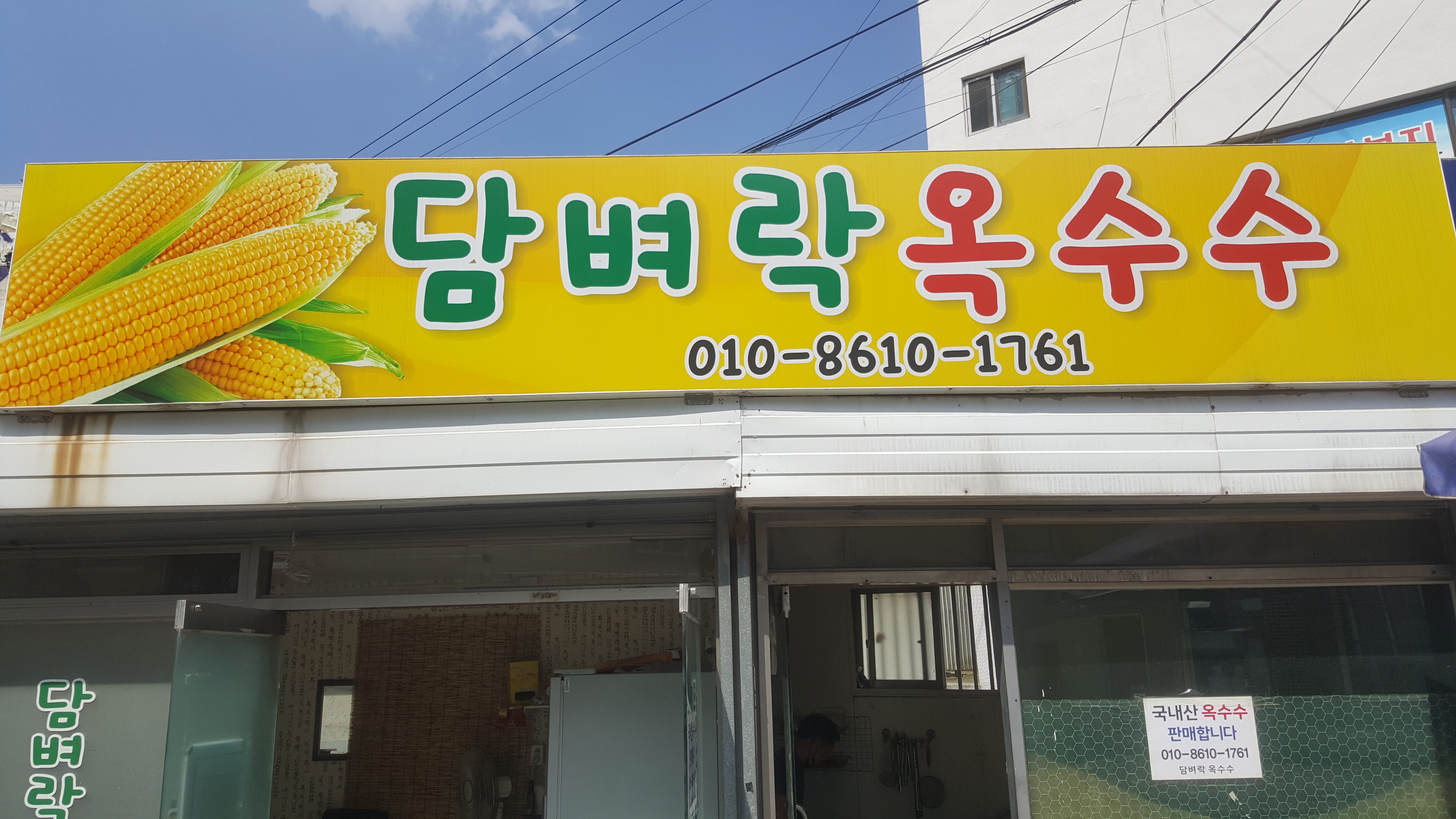 담벼락옥수수 사진