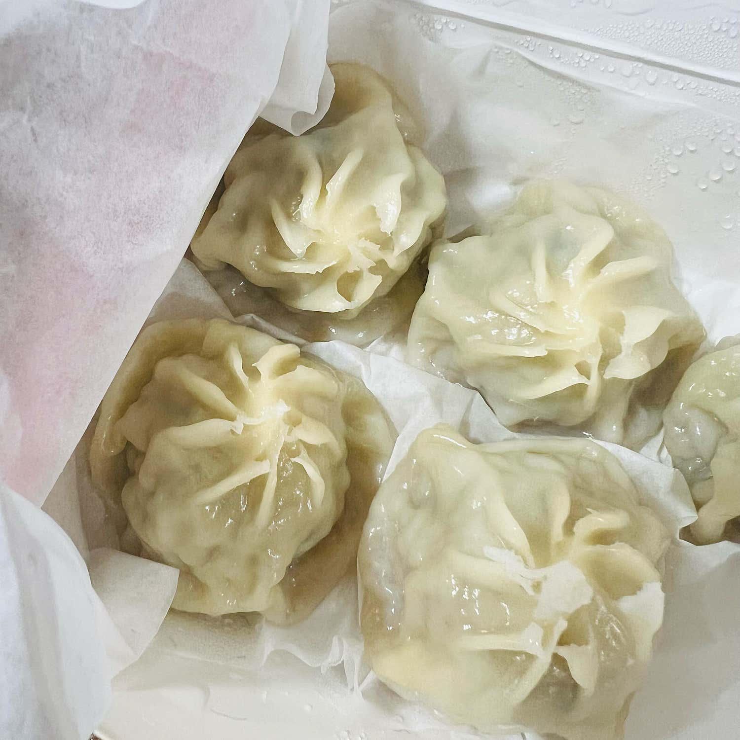 원보병가 사진 5