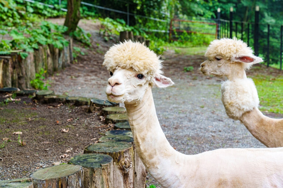 초리골164 사진 1