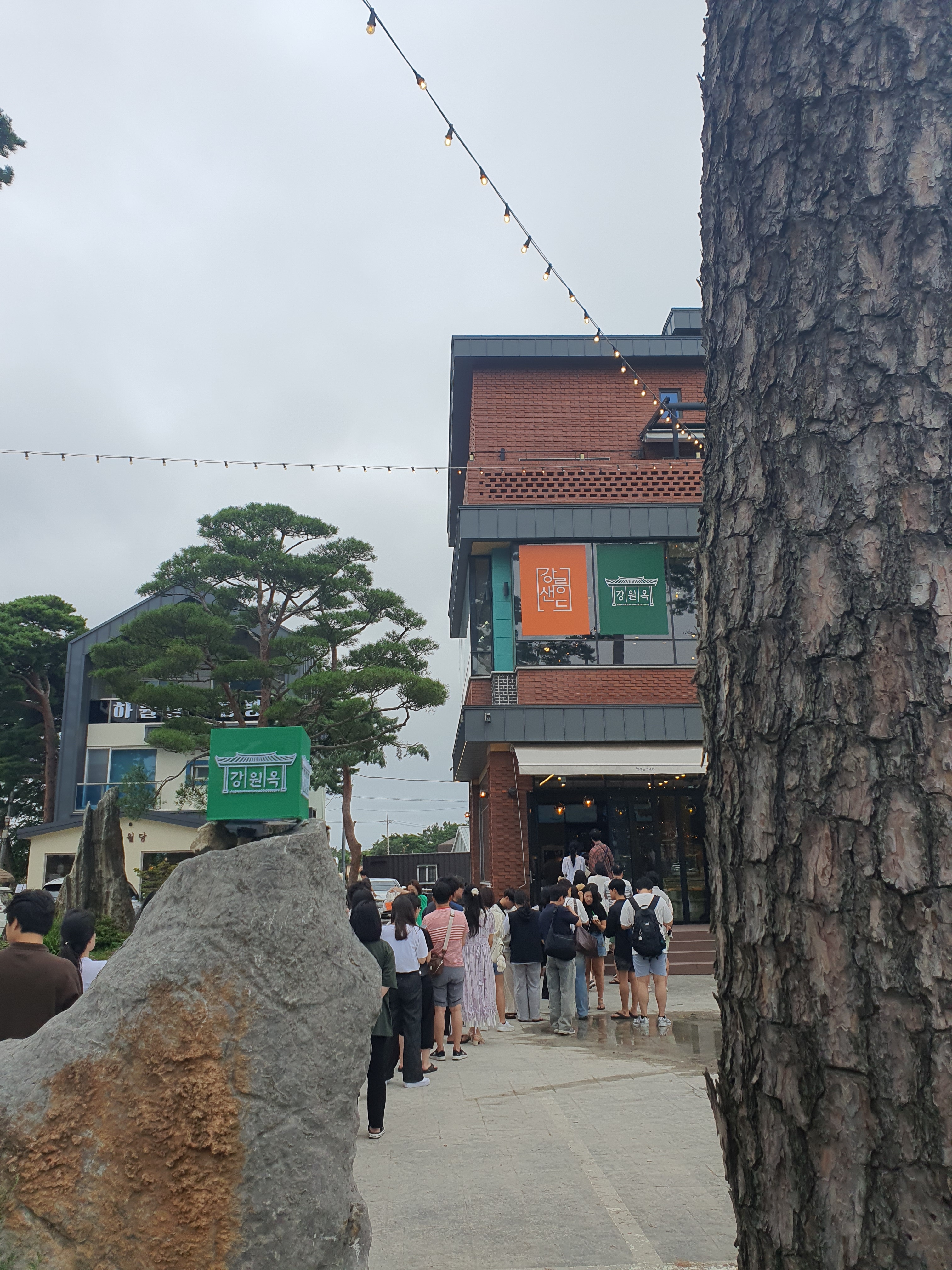 강원옥 찹쌀떡 사진