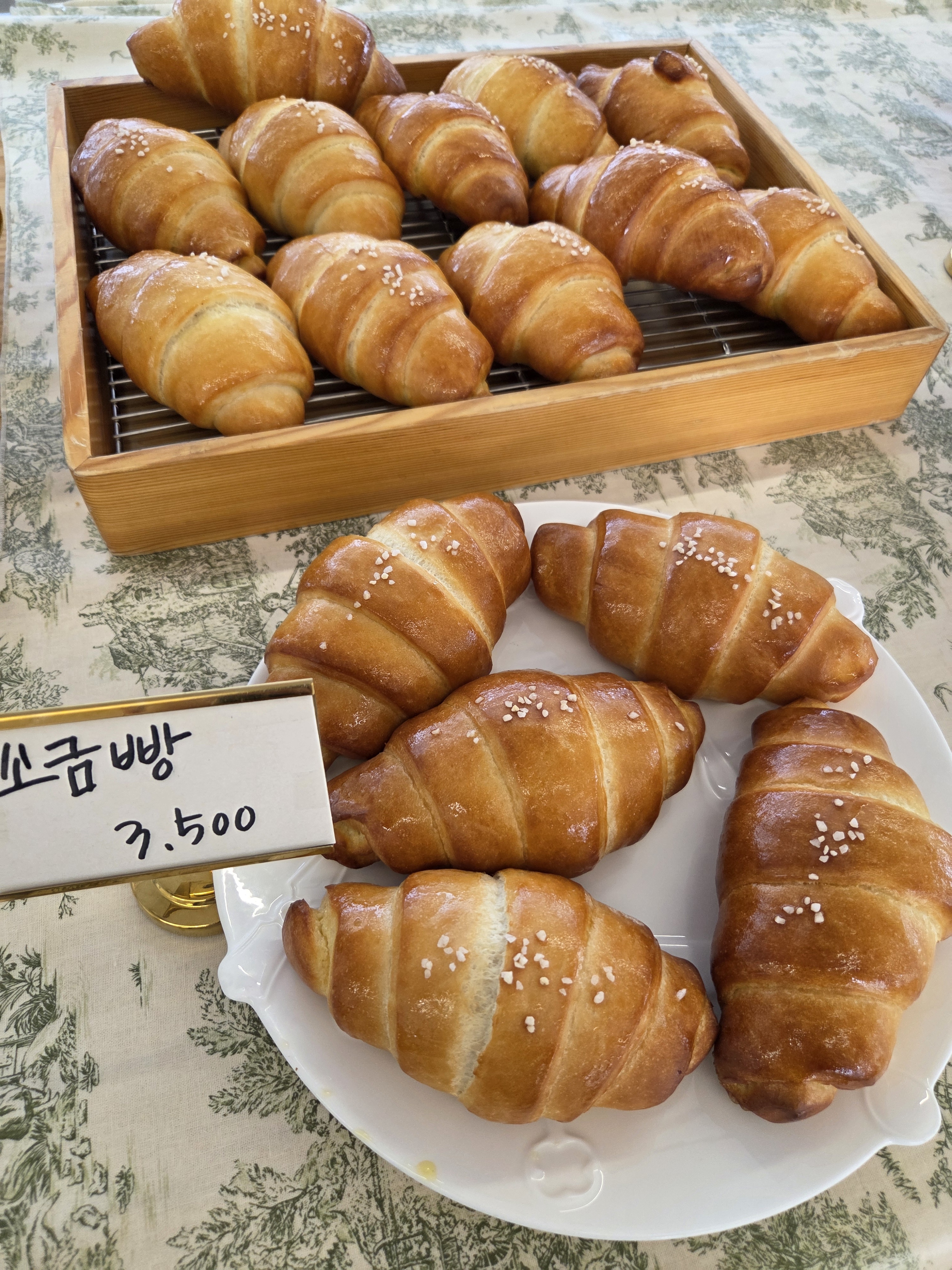 카페스테이 사진 5