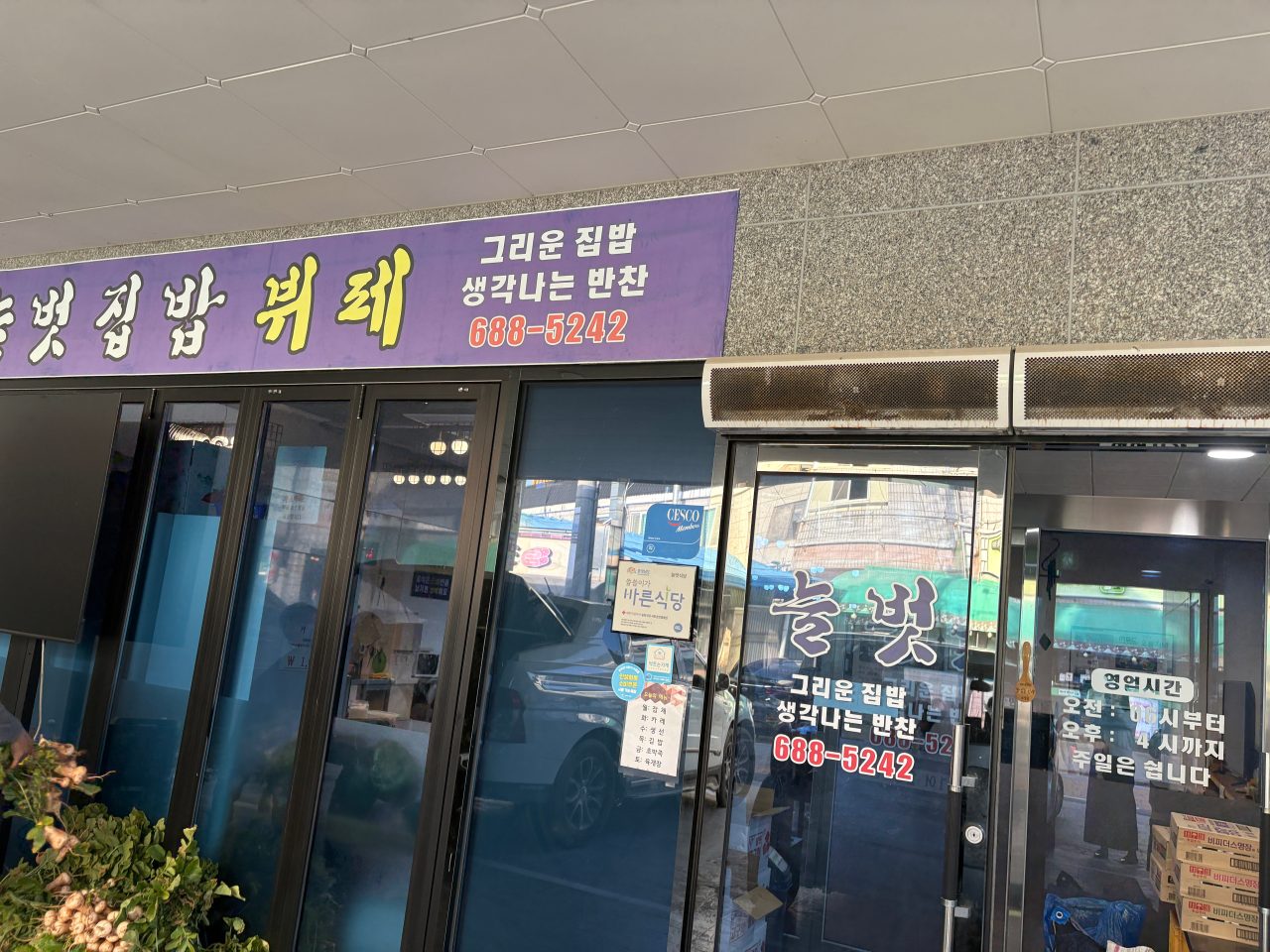늘벗 사진