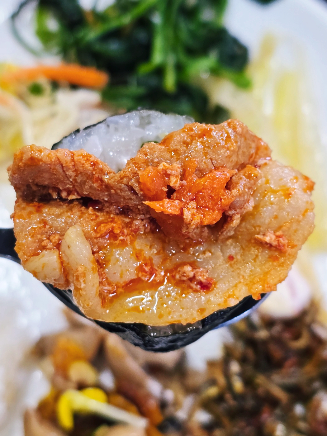 늘벗 사진 5