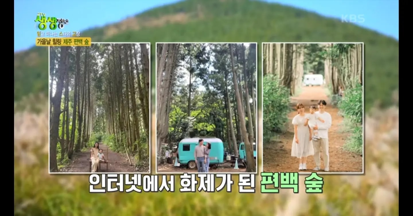 비밀의숲 사진 2