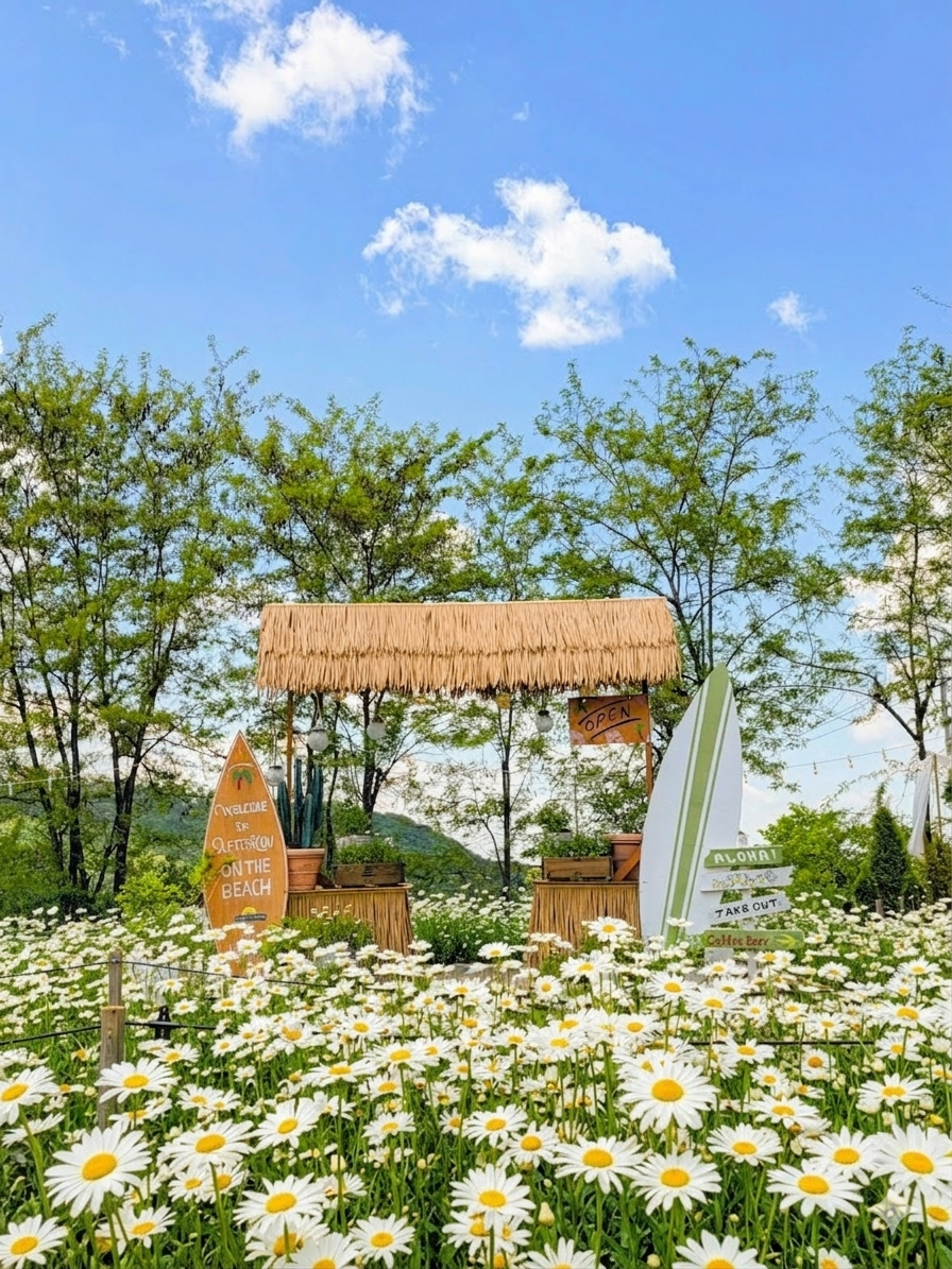 사진정원 사진 1