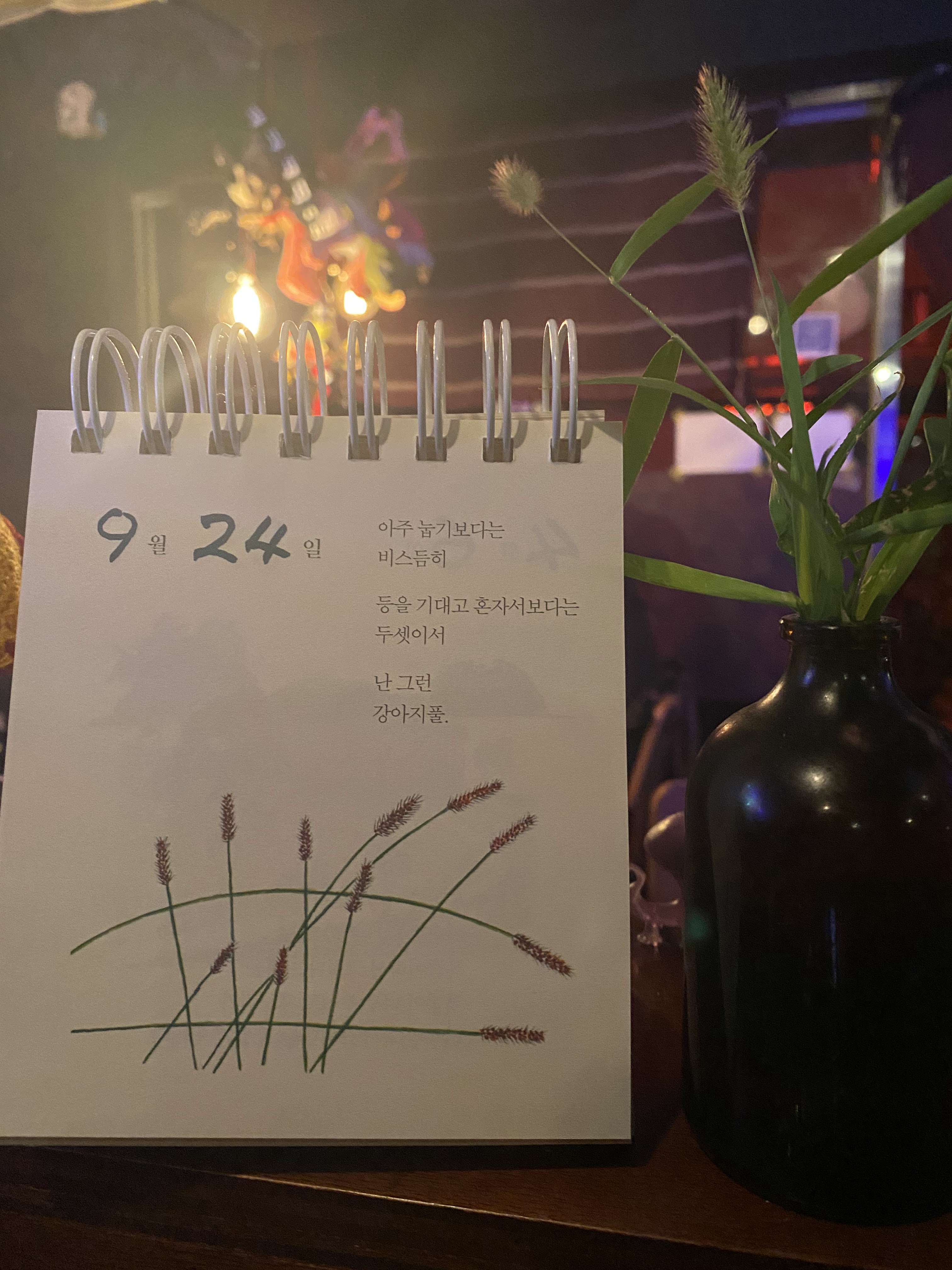 오하이 사진 1