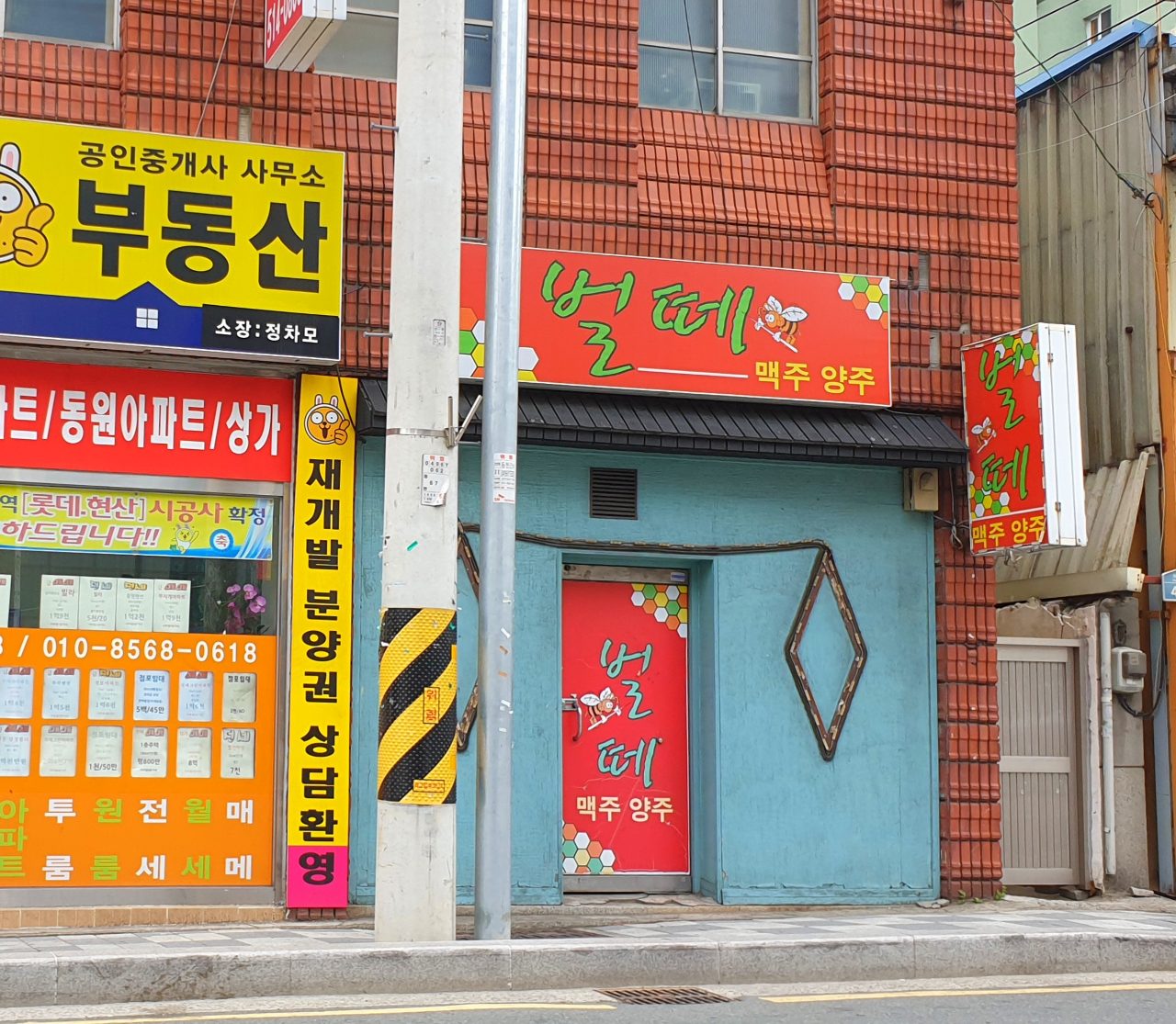벌떼 사진