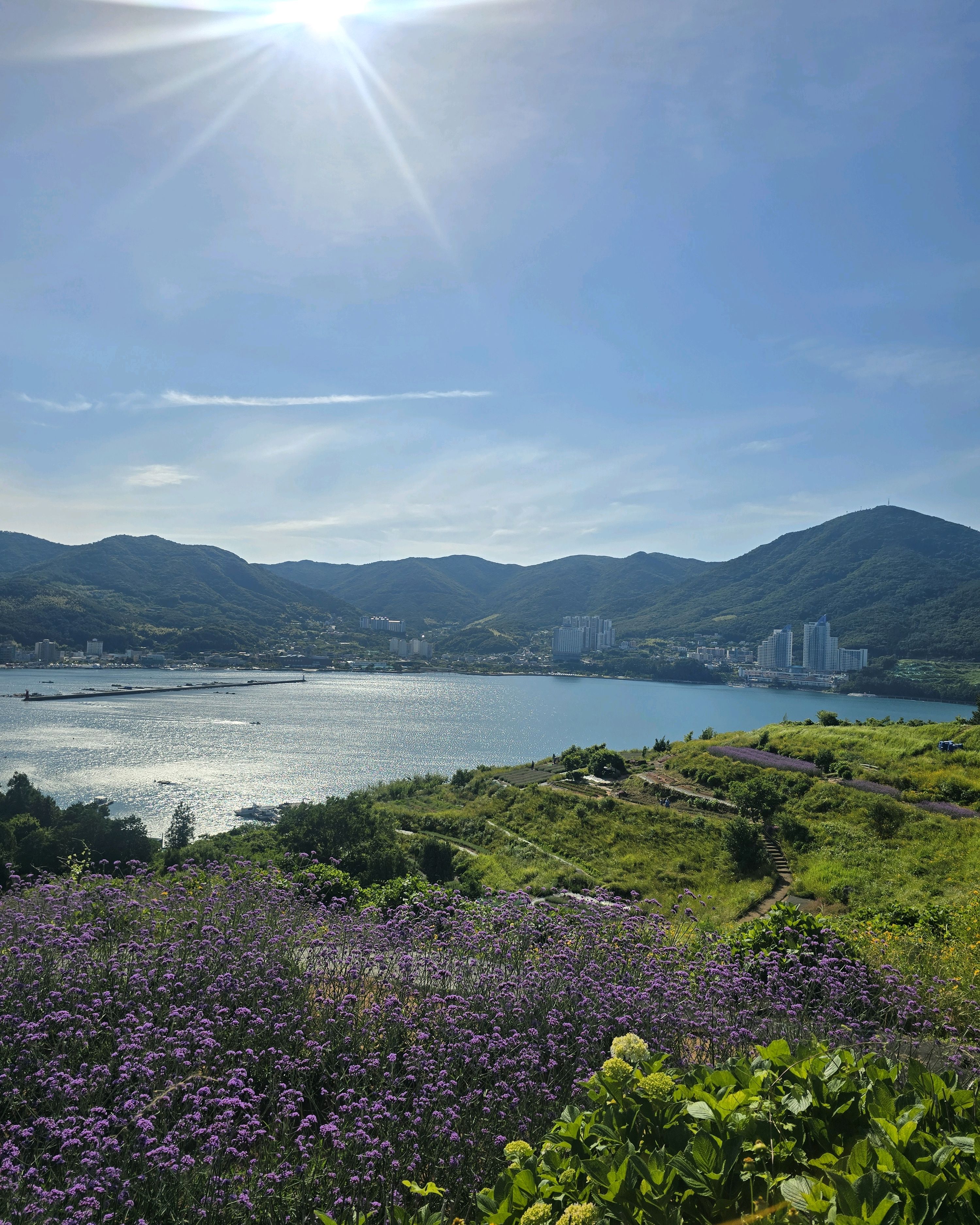 지세포진성꽃동산 사진 4