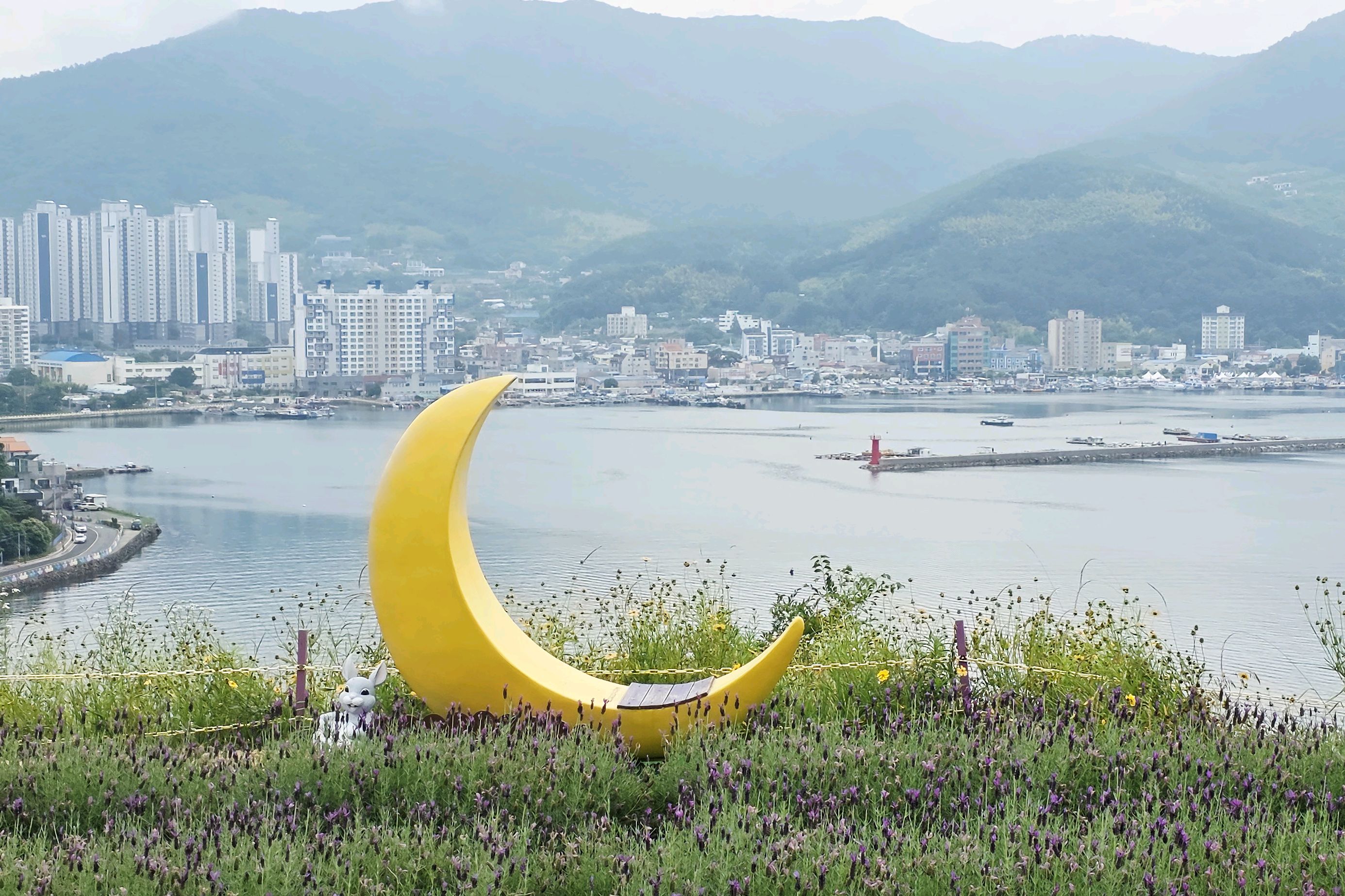 지세포진성꽃동산 사진 5