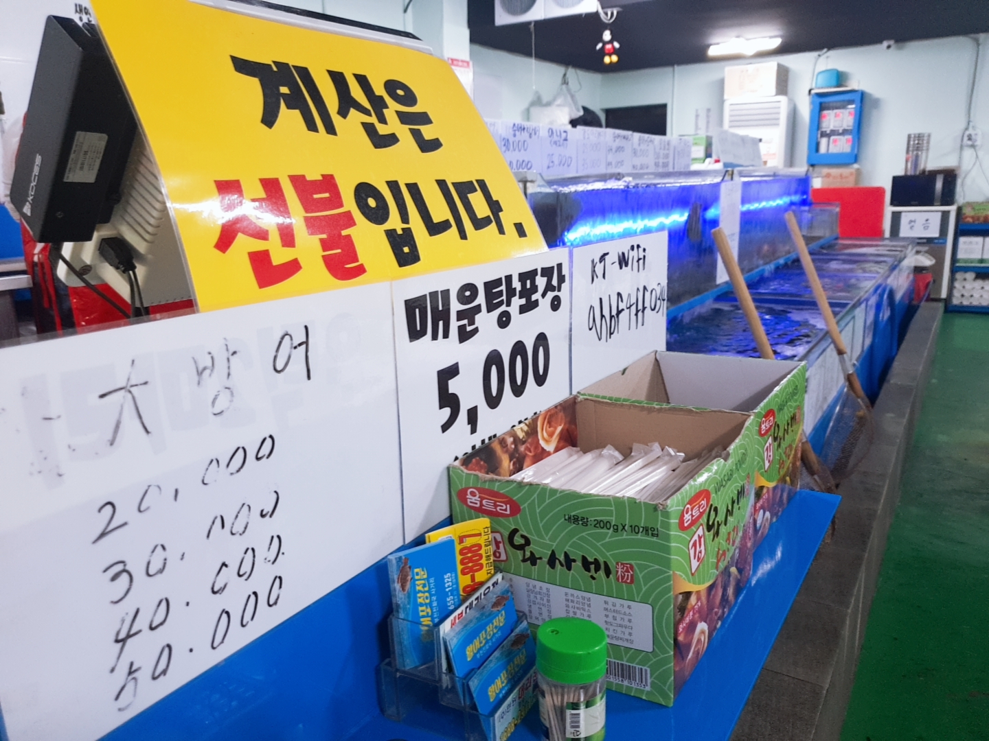 광어2마리 사진 2
