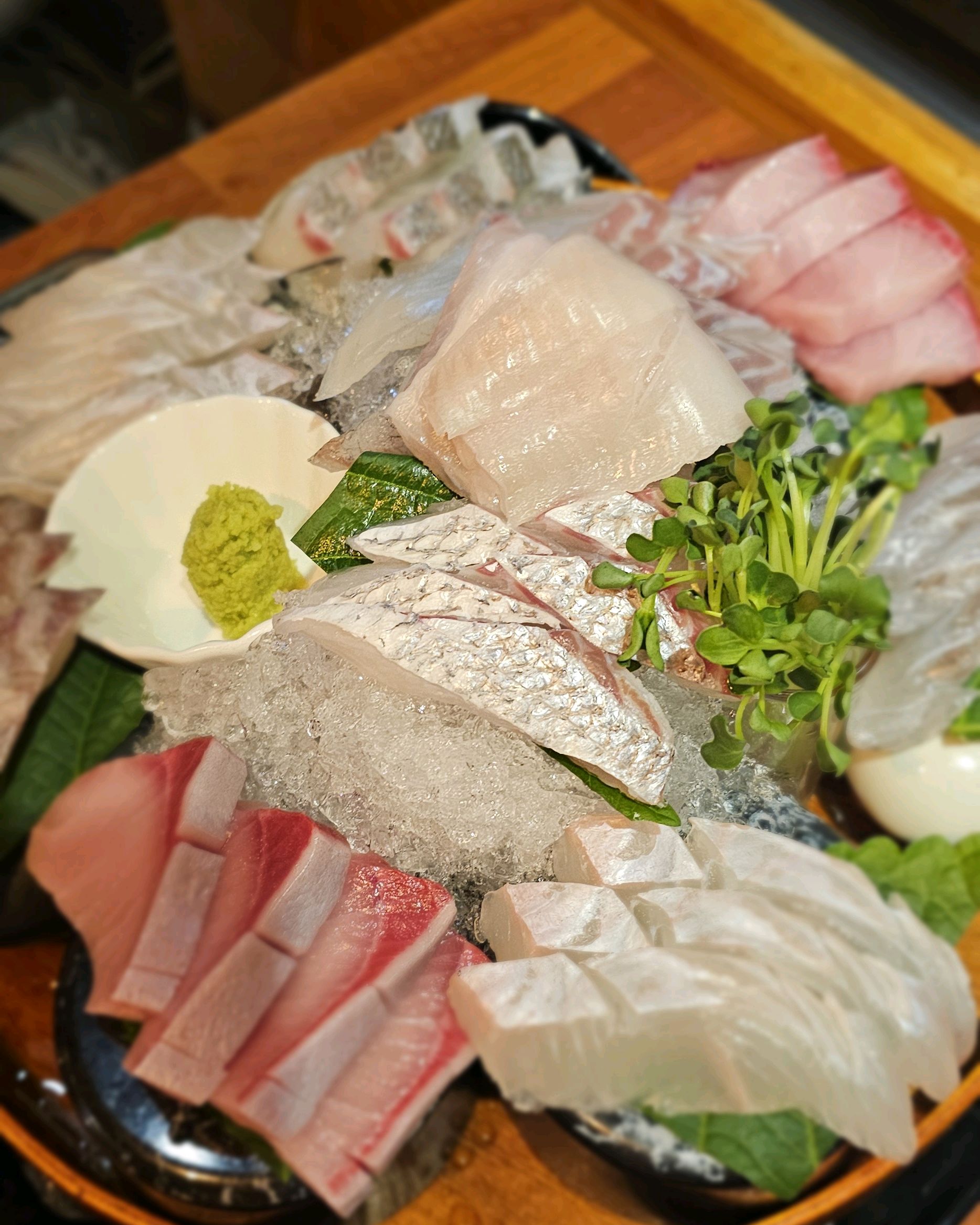 노무토모 사진 5