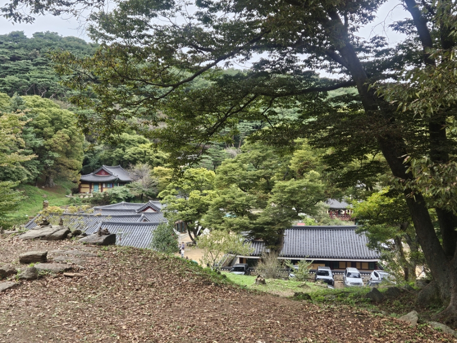 칠보식당 사진 5