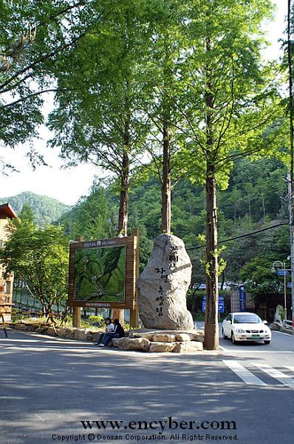 장태산자연휴양림 사진 1
