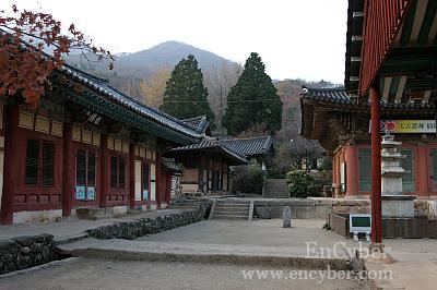 선암사 사진 5