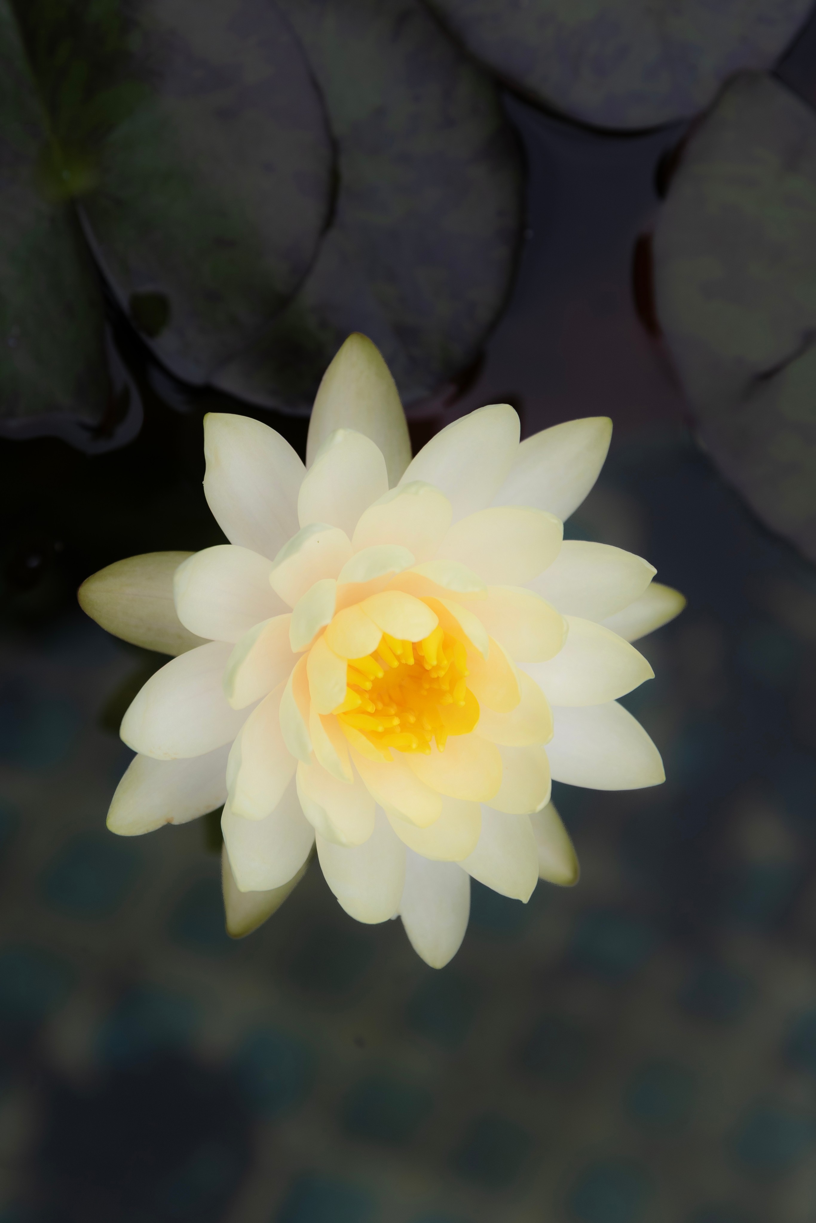 한림공원 사진 5