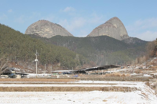 마이산 사진 4