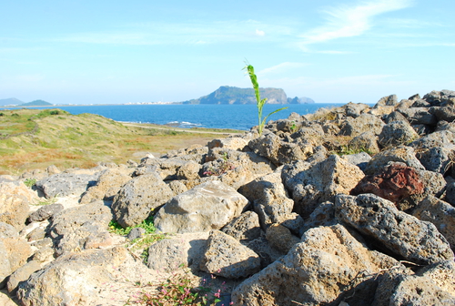 성산일출봉 사진 3