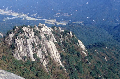 속리산 사진 3