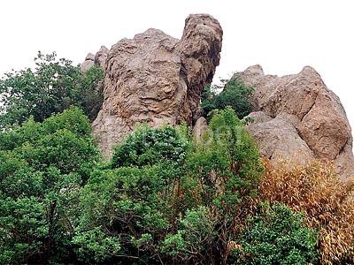 유달산 사진 2