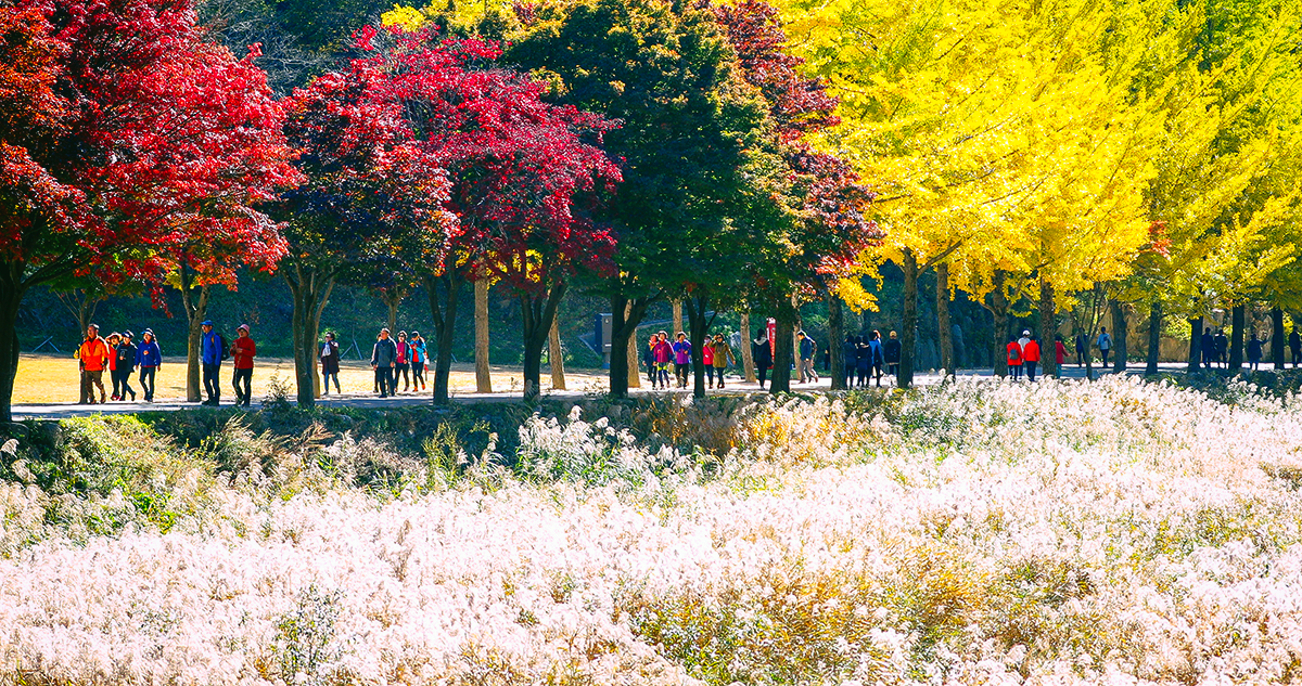 문경새재도립공원 사진 5