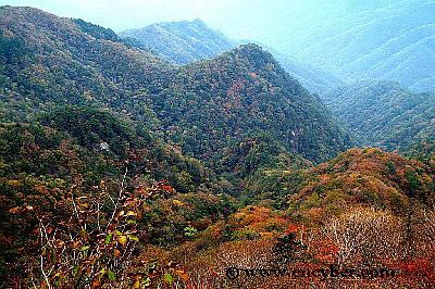 치악산 사진