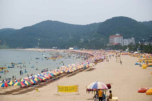 진하해수욕장 사진 4