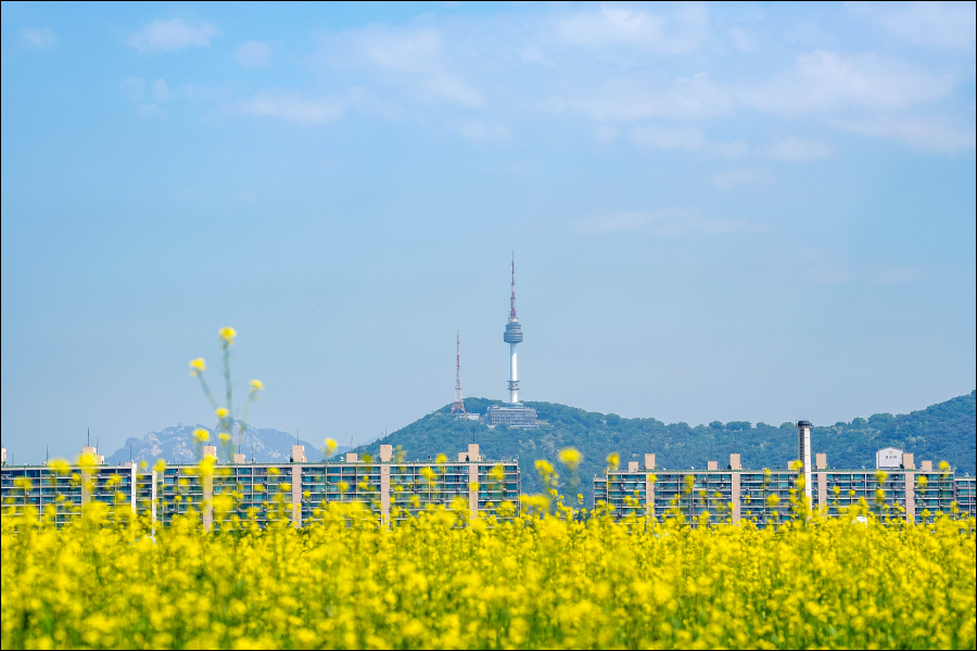 서래섬 사진 2