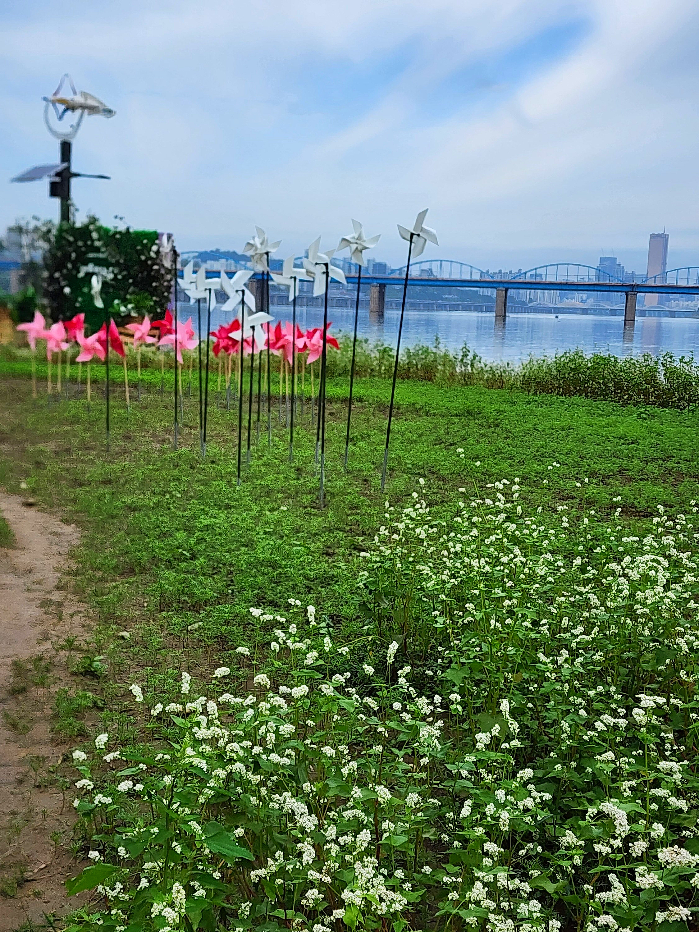 서래섬 사진 5