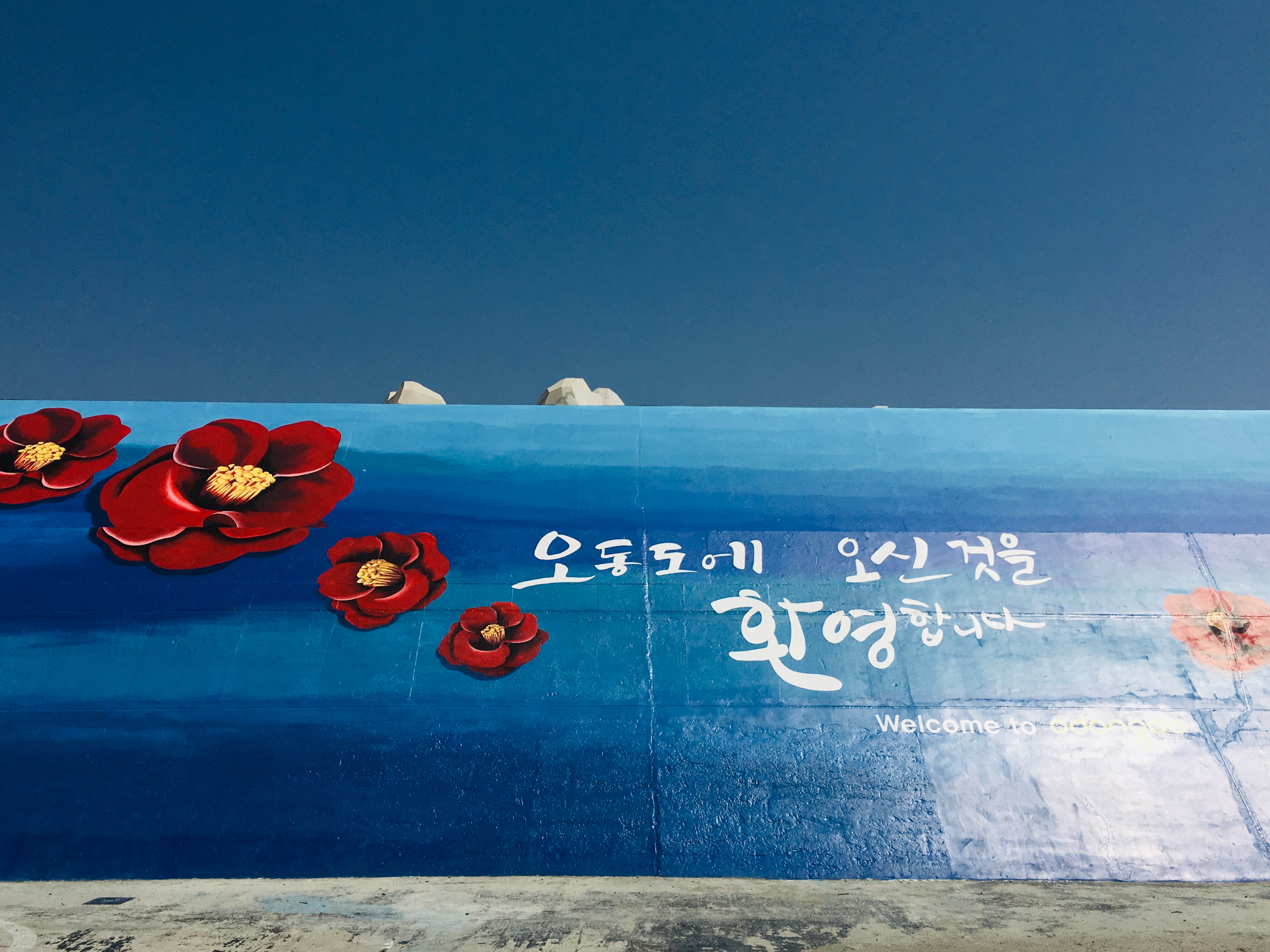 오동도 사진 2