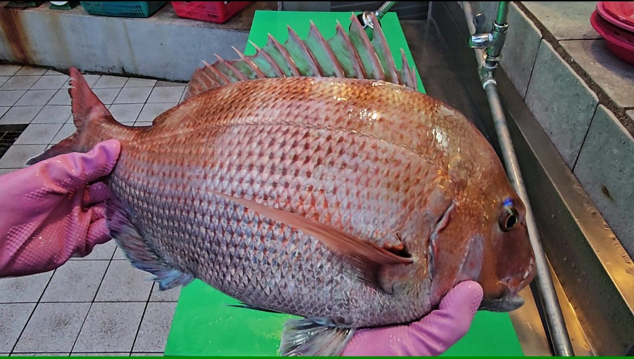 바다향기회식당 사진