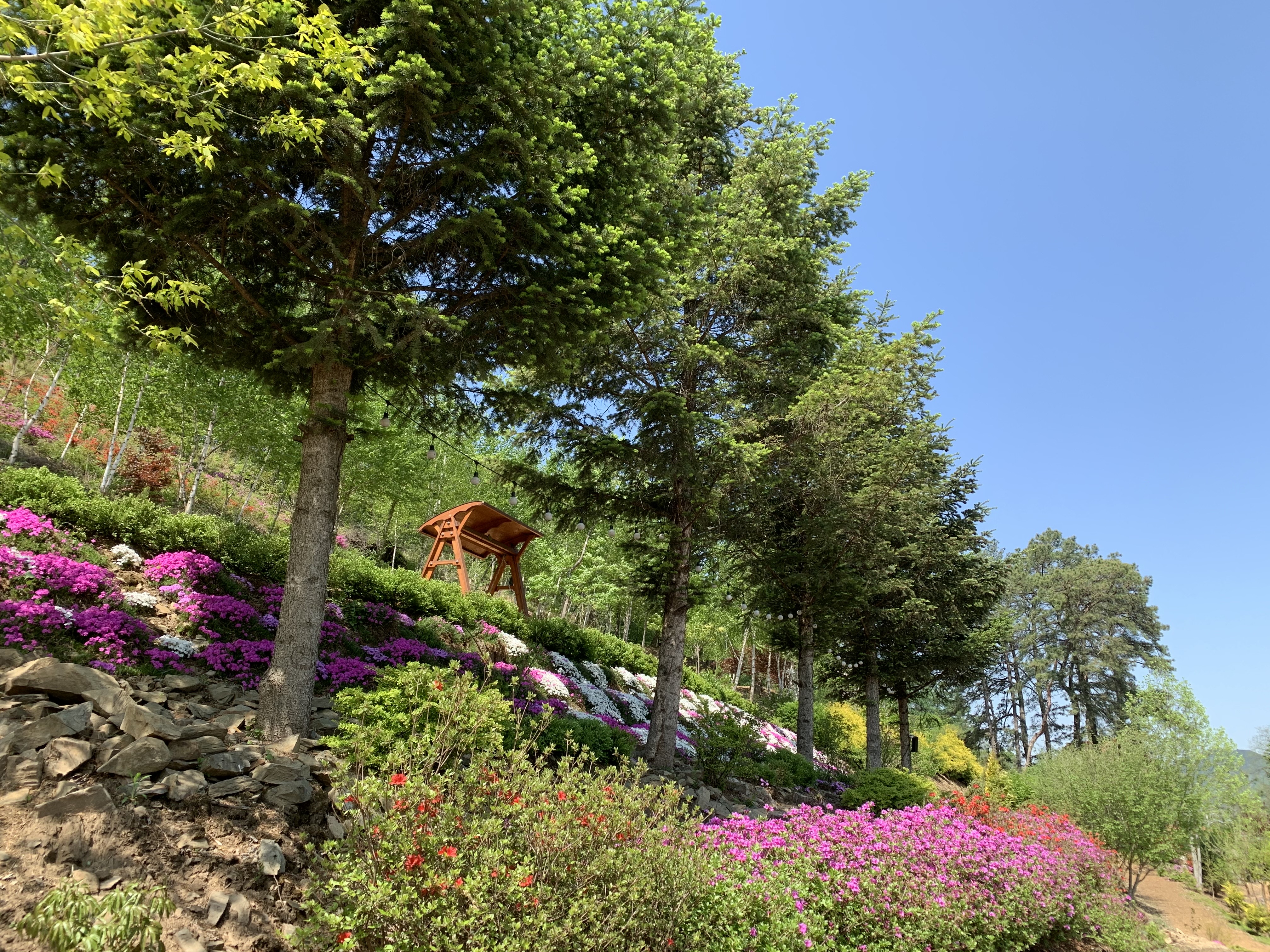 괴산트리하우스가든 사진 5