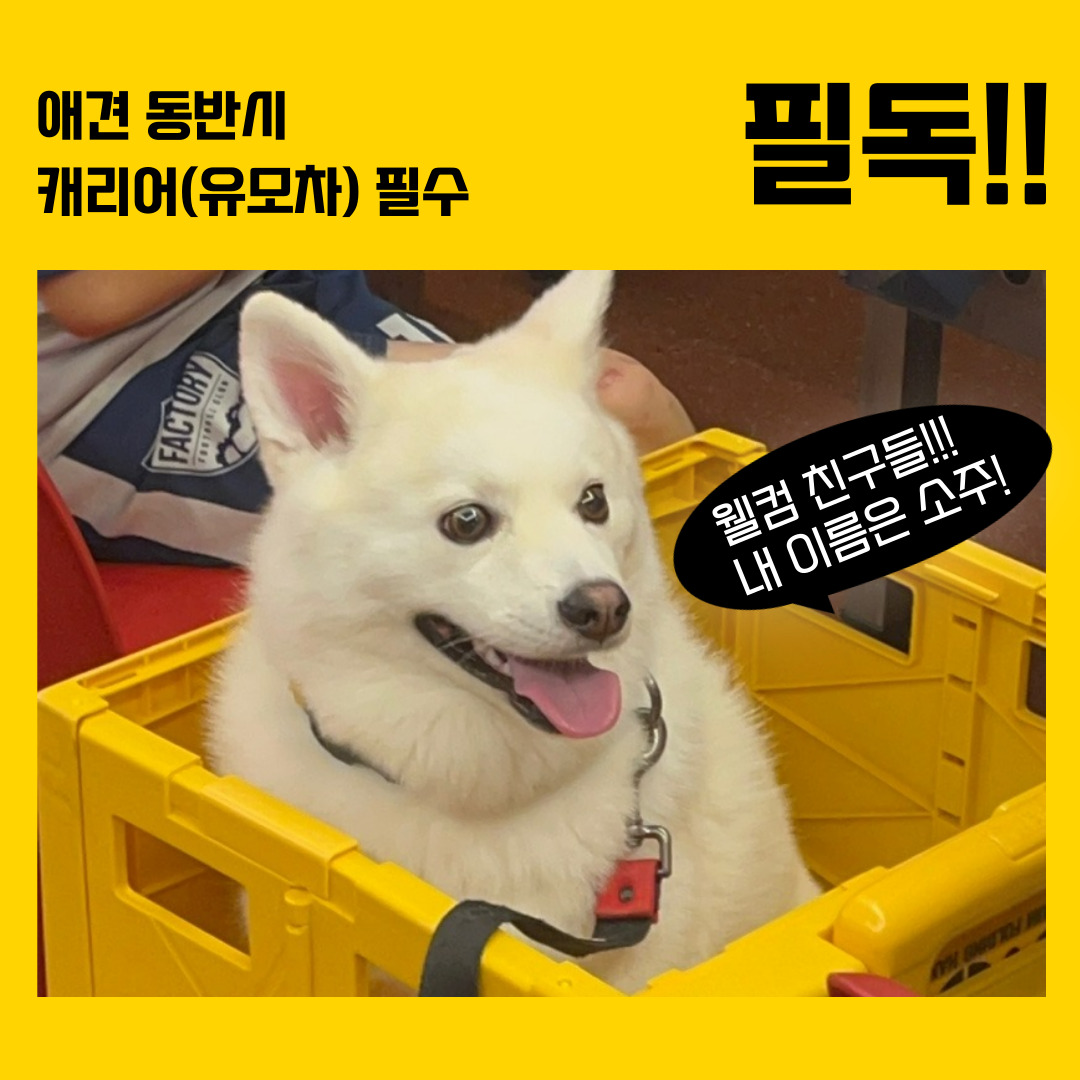 팔딱오리 수원본점 사진 5