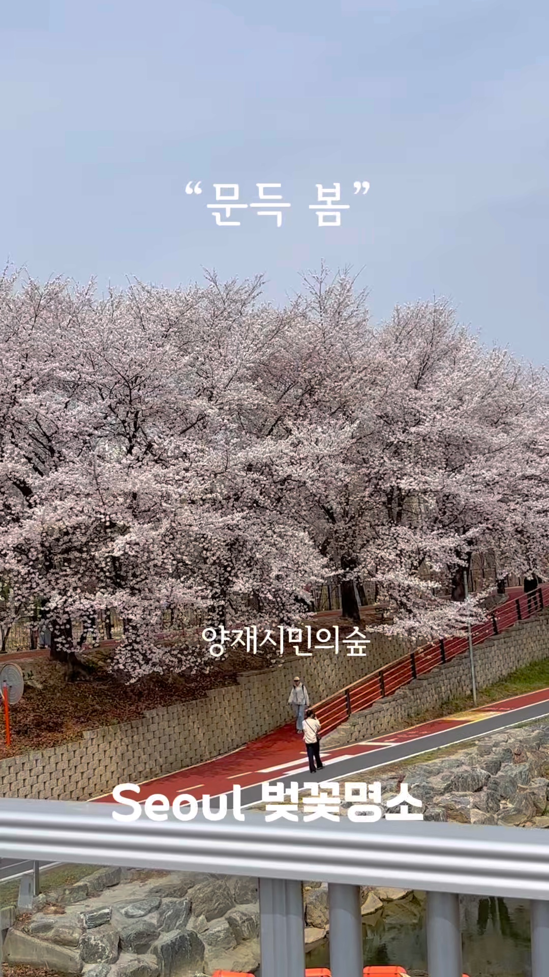 매헌시민의숲 사진 3