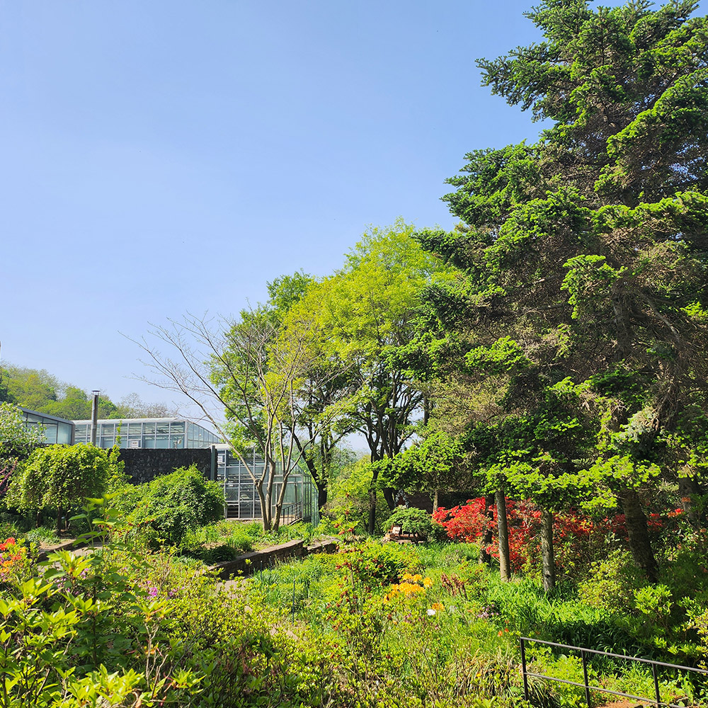 한택식물원 사진 4