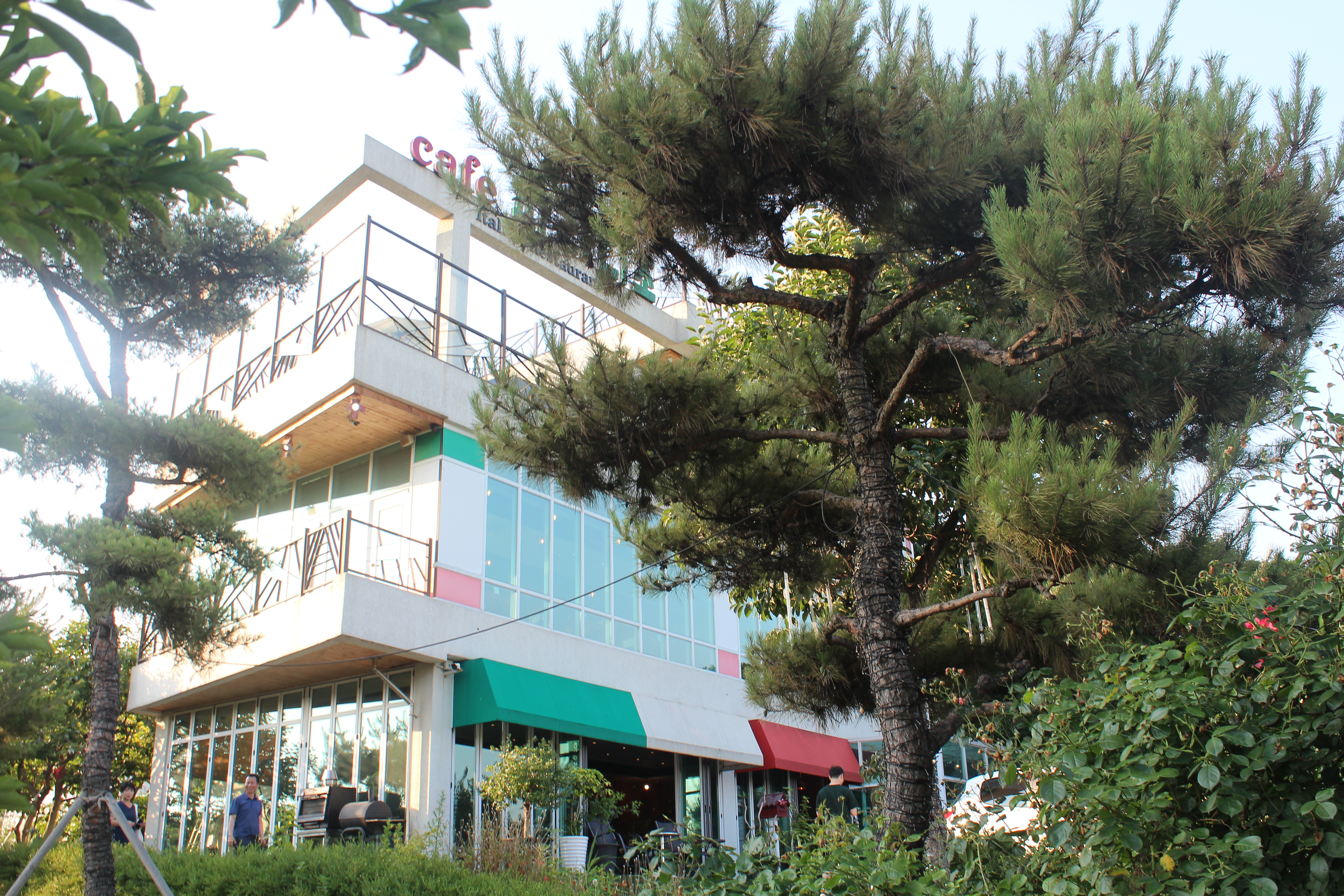 파라디조 사진 1